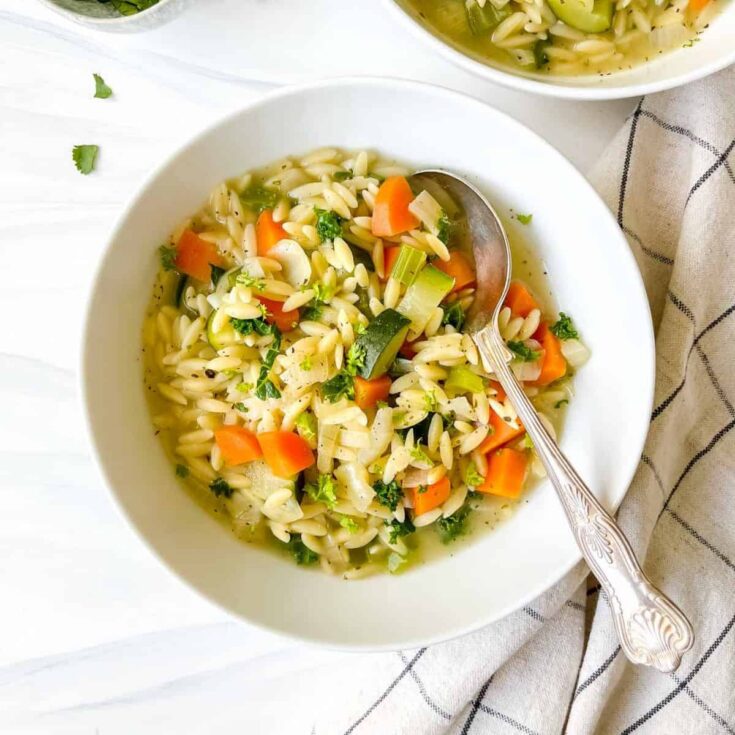 Image for Vegetable Orzo Soup