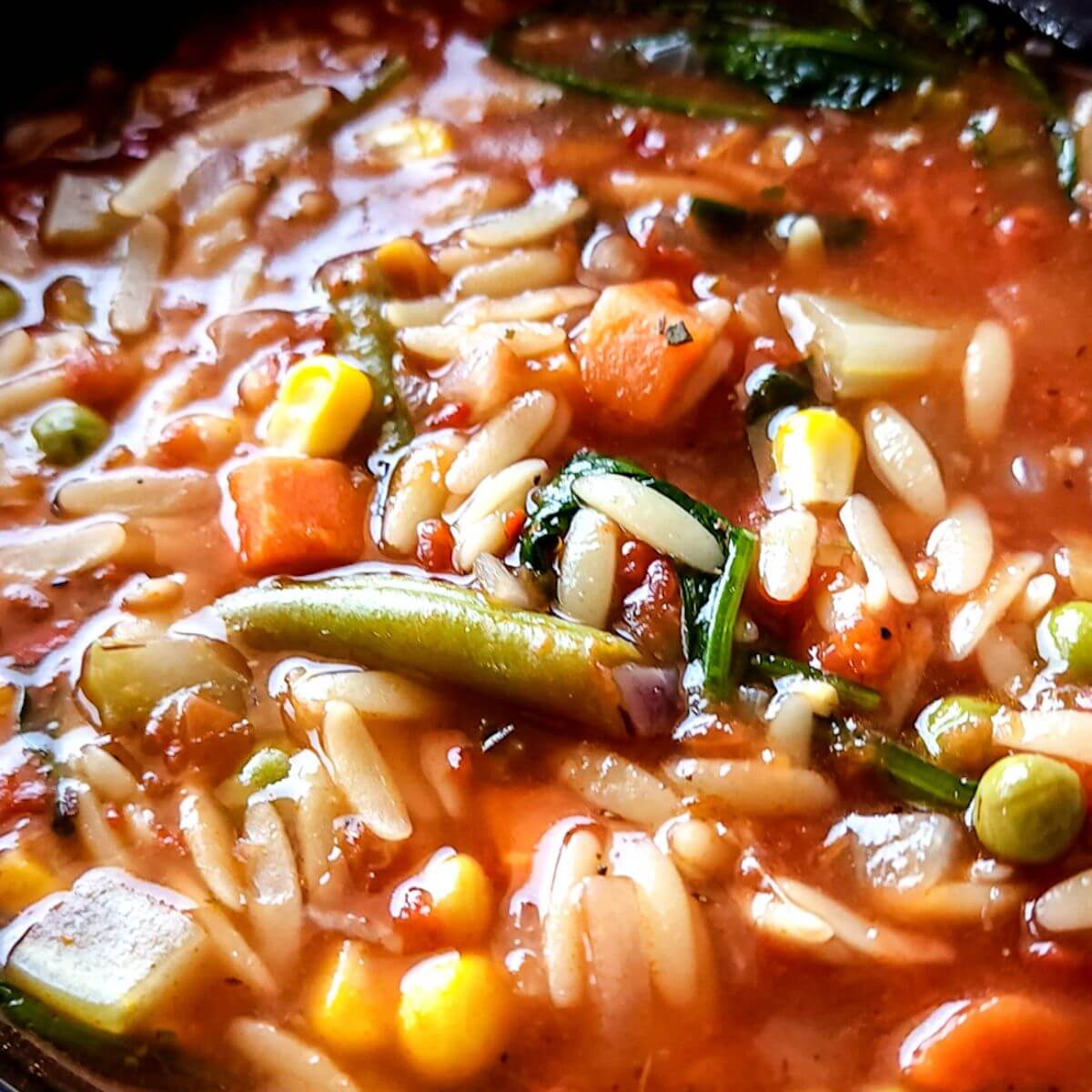 Image for Simple Vegetable Orzo Soup