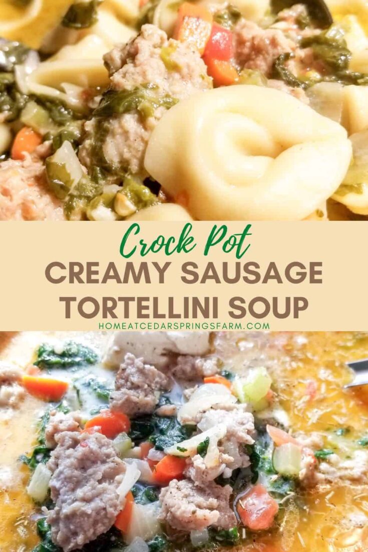 Image for Slow Cooker Sausage Tortellini Soup