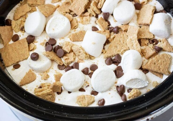 Image for The Best Crockpot S'mores Cake Recipe (with video)