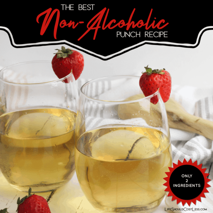 Image for Best Non-Alcoholic Punch Recipe
