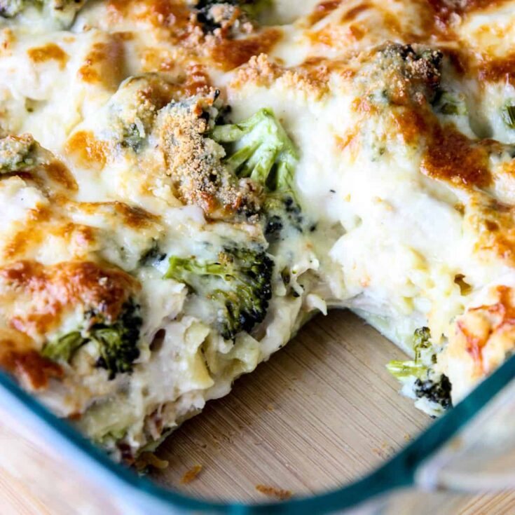Image for Chicken and Broccoli Lasagna Alfredo