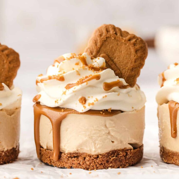 Image for Mini Biscoff Cheesecake