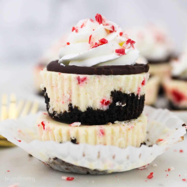 Image for Easy Mini Peppermint Bark Cheesecakes