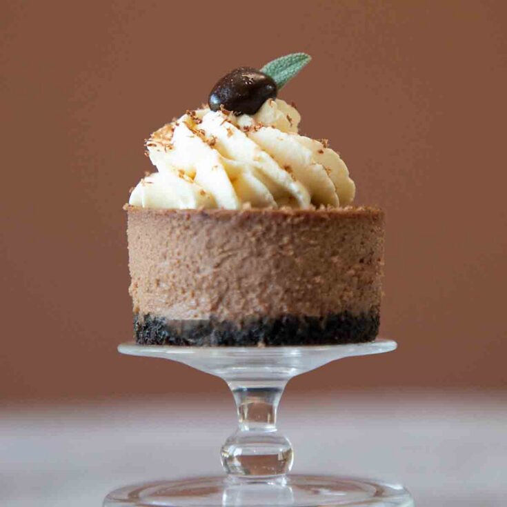 Image for Mocha or Chocolate Mini Cheesecake Bites
