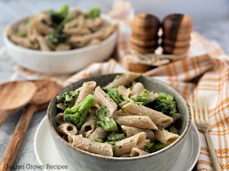 Image for Easy Chicken Broccoli Alfredo Recipe with Pasta