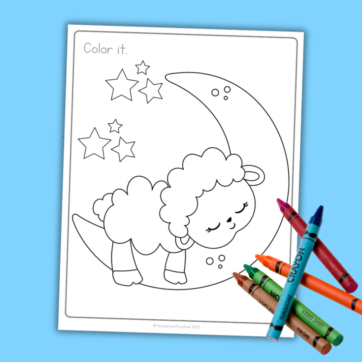 Image for Fun Sheep Coloring Pages for Creative Kids