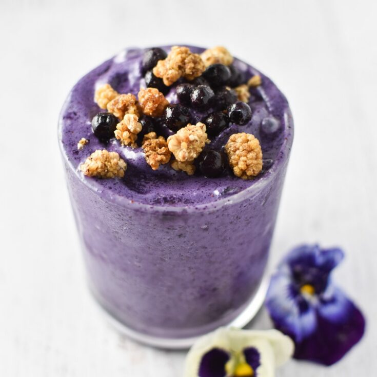 Image for Healthy Blueberry and Sunbutter Smoothie