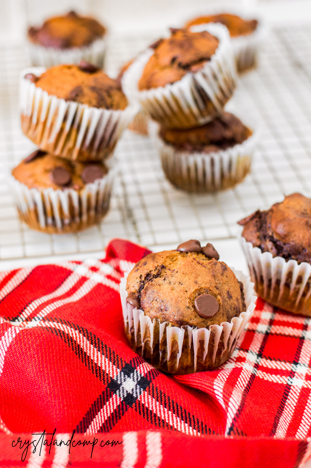 Pumpkin Chocolate Muffin Recipe