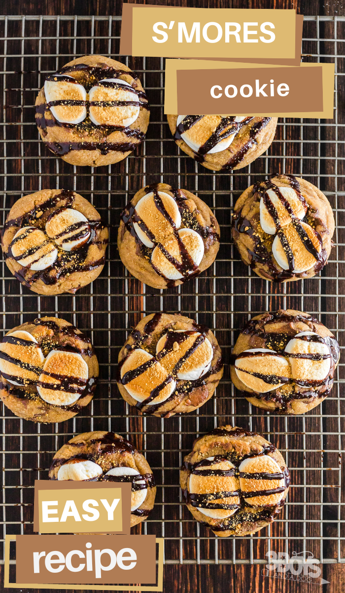 Image for Copycat Crumbl Smores Cookies Recipe
