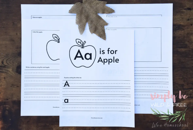Image for Printable Apple Worksheets
