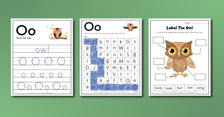 Image for Owl Worksheets For Kids [Free Printables]