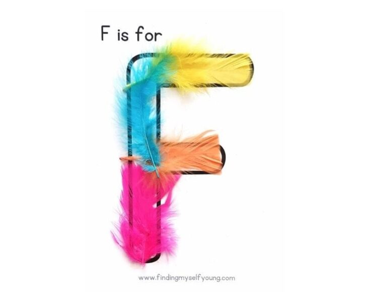 Image for F is for Feathers: Sensory Alphabet