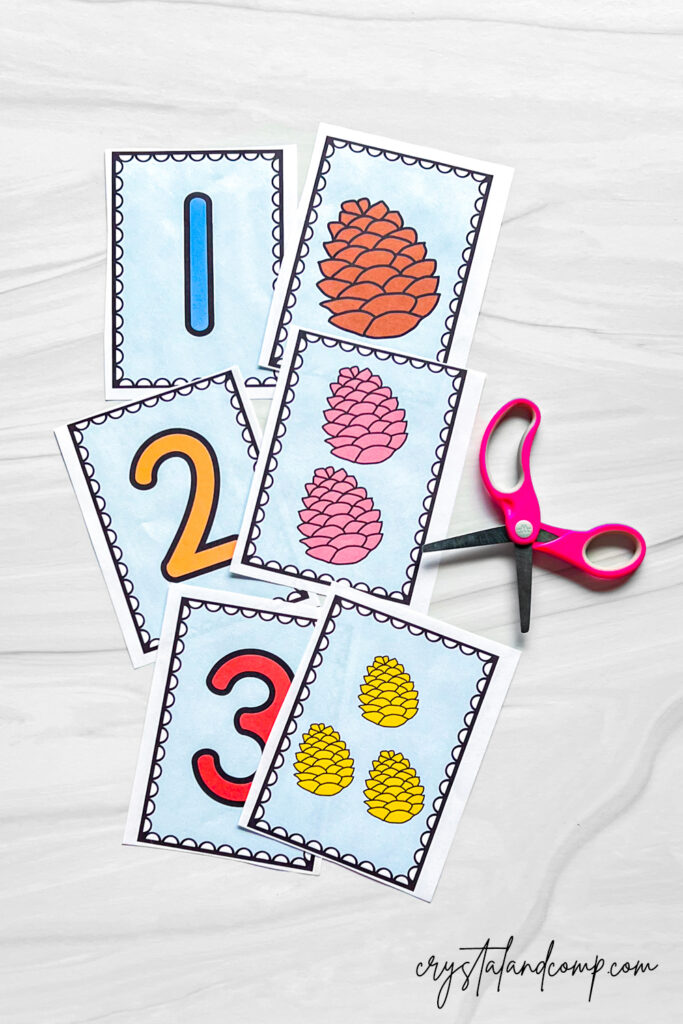 Winter Pinecone Matching Printables - CrystalandComp.com