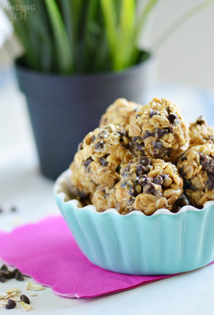 Image for Oatmeal Peanut Butter Protein Bites